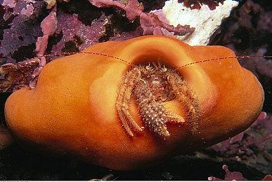 社交恐怖生存游戏《黑暗逃生2》公布 登陆Steam和主机